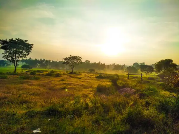 Güzel manzaralı tarım alanı, demiryolu istasyonu ve gündoğumu gökyüzü arka planına yakın..