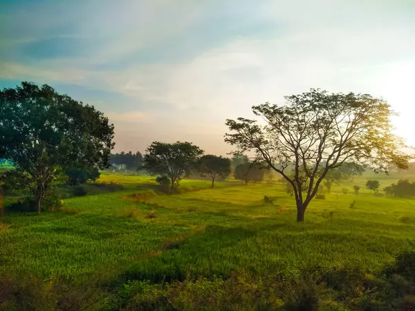 Güzel manzaralı tarım alanı, demiryolu istasyonu ve gündoğumu gökyüzü arka planına yakın..