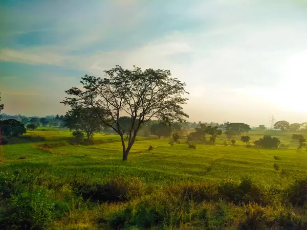 Güzel manzaralı tarım alanı, demiryolu istasyonu ve gündoğumu gökyüzü arka planına yakın..