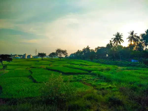 Güzel manzaralı tarım alanı, demiryolu istasyonu ve gündoğumu gökyüzü arka planına yakın..