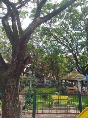 Bangalore Halk Parkı manzarasının güzel görüntüsü. Büyük ağaçlar ve yaşlılar konuşuyor..