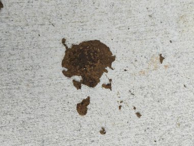 Toprak zeminde farklı şekilli kurutulmuş inek gübresi..