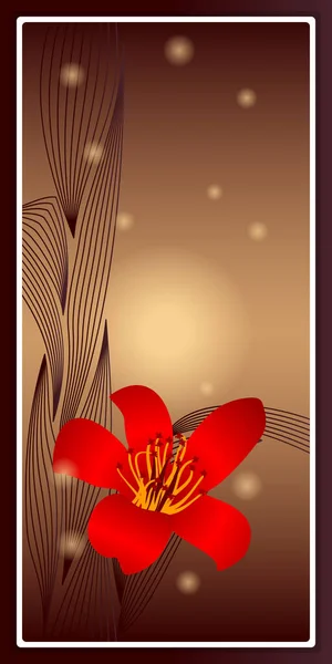Ramka Kwiatem Bombaxu Promieniach Słońca Druku Ściennego Płóciennego Plakatu Dekoracji — Wektor stockowy