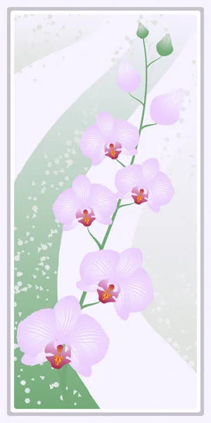 Cornice Con Orchidea Traforata Arte Della Parete Del Fiore Stampe — Vettoriale Stock