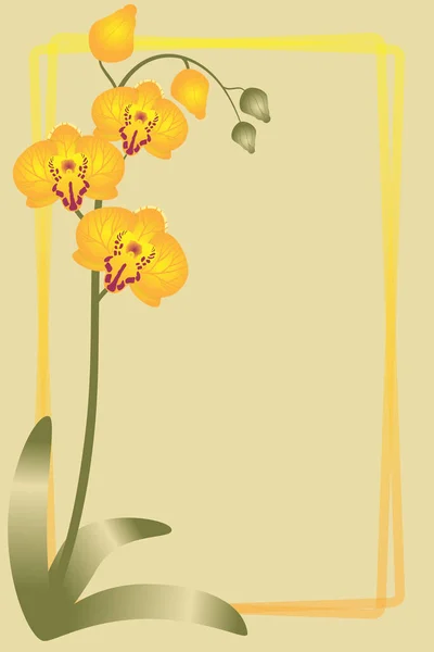 Рамка Место Текста Украшенные Золотыми Цветами Орхидеи Векторное Изображение — стоковый вектор