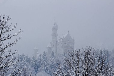 Peri masalı Neuschwanstein Kalesi karlı bir kışın ortasında şiddetli bir kar yağışı altında sabah sisinin içine bakar. Neuschwanstein, Almanya 'nın Bavyera eyaletinde yer alan bir şehirdir..