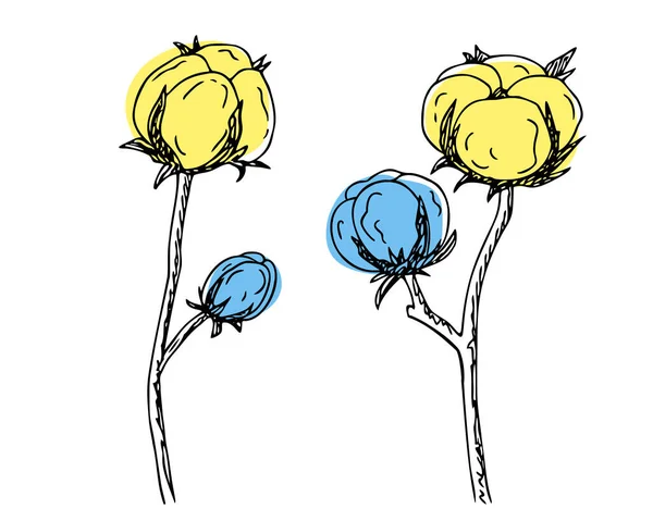 Baumwolle Blau Gelbe Blume Bavovna Floralen Zweig Faser Pflanzlichen Ursprungs — Stockvektor