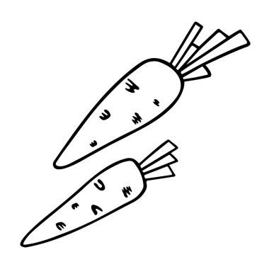 Carrot doodle, cooking nutrient. Hand-drawn vegetarian food, proper eating, healthy diet. Sketch, minimalism, line art IsolatedVector