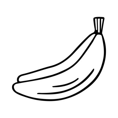 Banana doodle, cooking nutrient. Hand-drawn sweet fruit, proper eating, healthy diet. Sketch, minimalism, line art Isolated Vector