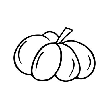 Pumpkin doodle, Halloween decoration. Hand-drawn gourd, vegetarian food, proper nutrition, healthy diet. Sketch, minimalism, line art Isolated Vector