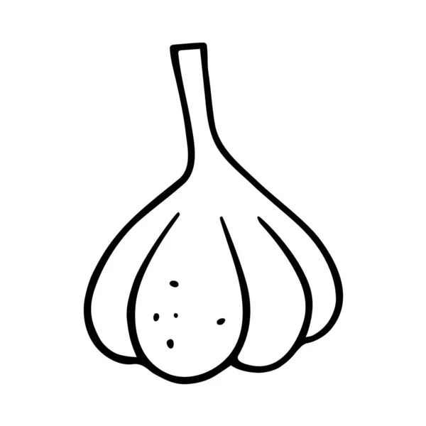 Garlic Doodle Cooking Nutrient Hand Drawn Spice Food Proper Eating - Stok Vektor