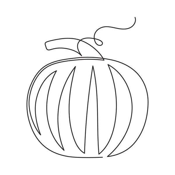 Pumpkin One Line Art Continuous Contour Drawing Hand Drawn Gourd — Stock Vector