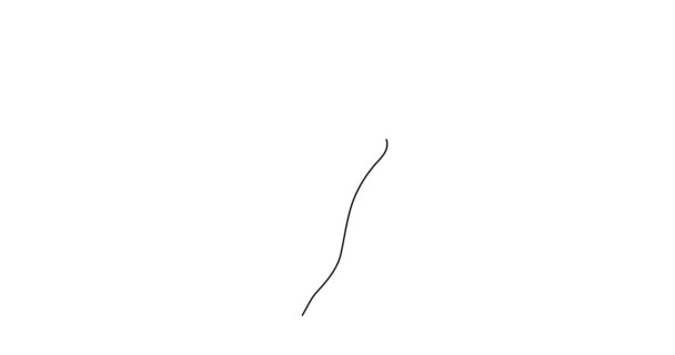 手握鳗鱼签名一行艺术动画 连续画轮廓的运动 手绘线条商务简约视频财务价值标识 货币潮流4K自绘电影 — 图库视频影像