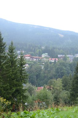 Doğa manzarası, yeşil turistik manzara, doğa yürüyüşü manzarası. Çiçek vadisine yaz gezisi.