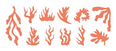 Soyut Çiçek Tasarımı Doğal Elementlerle Yaz Botanik Seti. Çiçek ve Bitki Kolajı 'nın tropik siluetleri. Soyut Bahar Doğal Organik Şekilleri Düz Uygulama Yapıyor. İzole edilmiş.