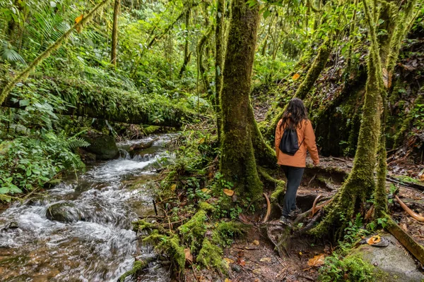 Yeşil ormandaki genç kadın