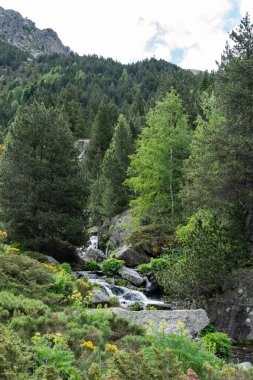 Ormandaki güzel dağ manzarası