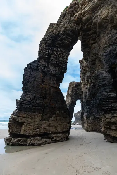 Okyanus plajı, güzel bir fotoğraf.