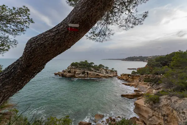 Deniz manzarası, kaya, ağaç ve deniz manzarası..