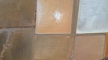 Mangrov ormanının yakınındaki tuz tarımının üst görüntüsü. İnsansız hava aracından alınmış..