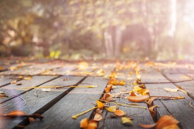 Sonbahar yapraklı ahşap yüzey. doğa arkaplanı