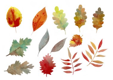 Resim suluboya sonbahar yaprakları koleksiyonu beyaz arkaplanda izole