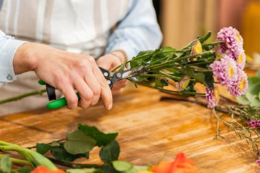 Çiçekçi, küçük işletmelerde çiçek buketi hazırlarken mor kasımpatı saplarını kesiyor.