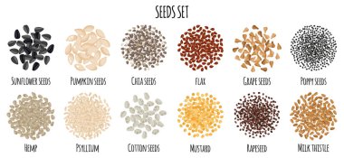 Seeds set with Sunflower, Pumpkin, Chia, Flax, Grape, Poppy, Hemp etc. Natural organic food collection. Vector cartoon isolated illustration.