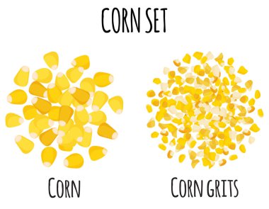 Corn set with grain and grits. Natural organic food collection. Vector cartoon isolated illustration.