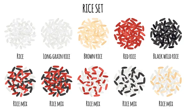 Rice set with White, Red, Brown, Black wild and Long grain rice. Natural organic food collection. Vector cartoon isolated illustration.