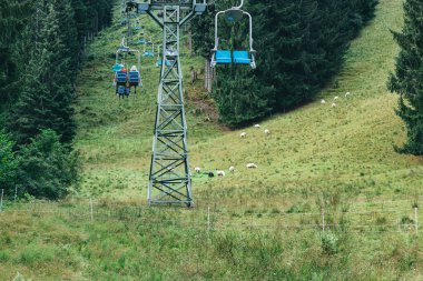 Cable car, ski lift with blue seats in summer among the green pine trees