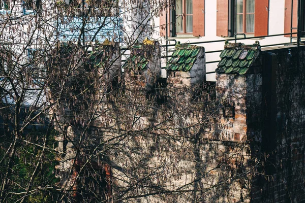 Telhado Azulejos Uma Antiga Casa Coberta Musgo Uma Moita Árvores — Fotografia de Stock