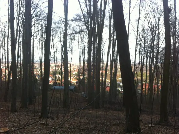 Parktaki güzel sonbahar manzarası