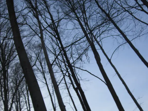 Prag, Czech Cumhuriyeti - Mayıs 22, 012: Eski kasaba