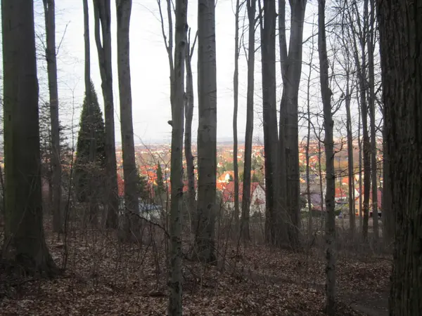 Prag, Czech Cumhuriyeti - Mayıs 22, 012: Eski kasaba