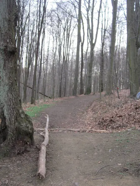 Prag, Czech Cumhuriyeti - Mayıs 22, 012: Eski kasaba