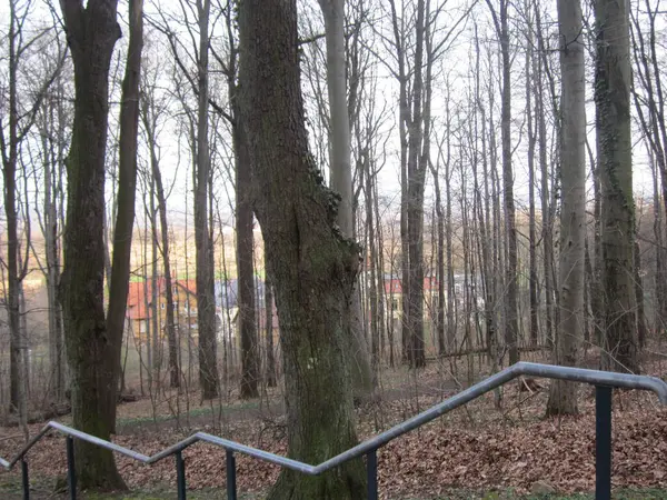 Prag, Czech Cumhuriyeti - Mayıs 22, 012: Eski kasaba