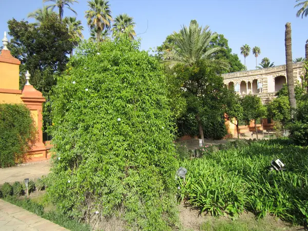 Alhambra Sarayı, Granada - İspanya.