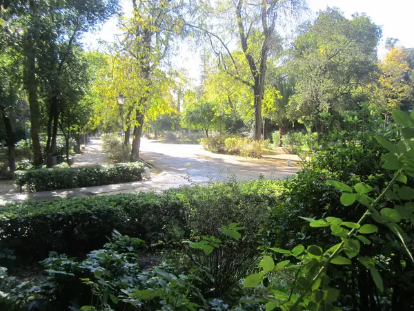 Parkın güzel manzarası