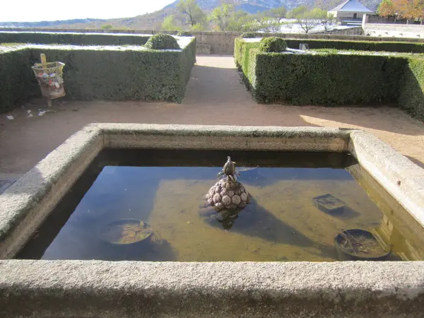 Segovia, İspanya. Lluvia ve invierno.