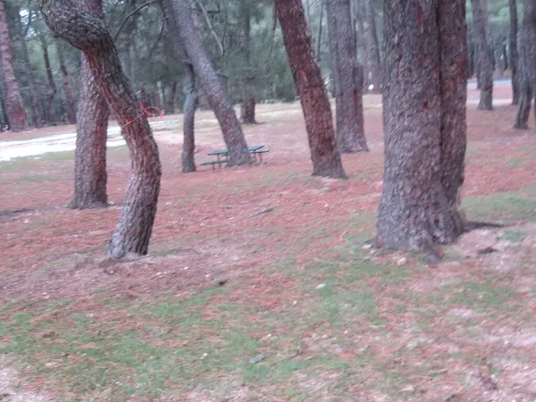 Segovia, İspanya. Lluvia ve invierno.