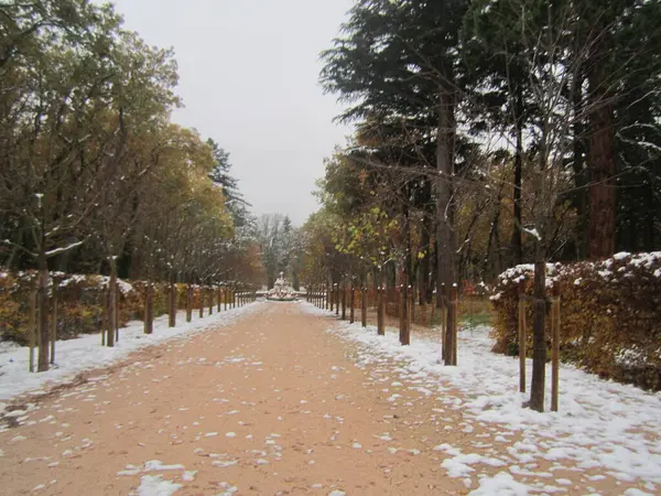 Segovia, İspanya. Invierno, nieve. 