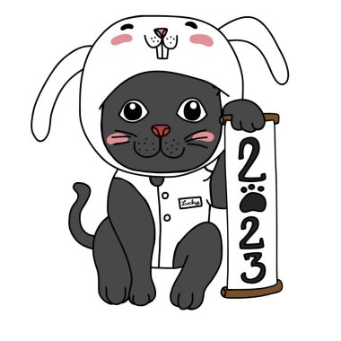 Maneki Neko (Japon şans kedisi) 2023 yılı için tavşan kostümü giyer.