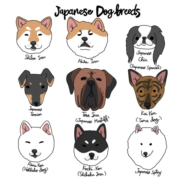 stock vector Japanese dog breed cartoon chart vector illustration