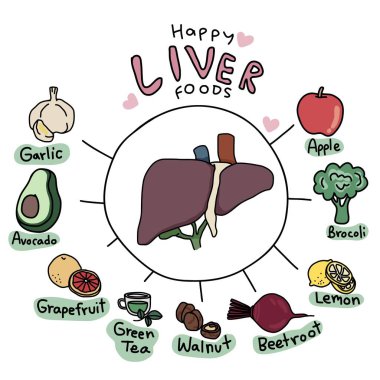Happy liver Foods çizgi film vektör bilgi çizimi