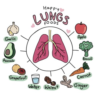 Mutlu Akciğerler Gıda karikatür vektör bilgi çizimi
