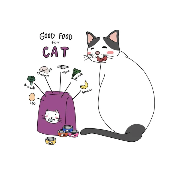 猫信息图解漫画病媒图解的好食物 — 图库矢量图片