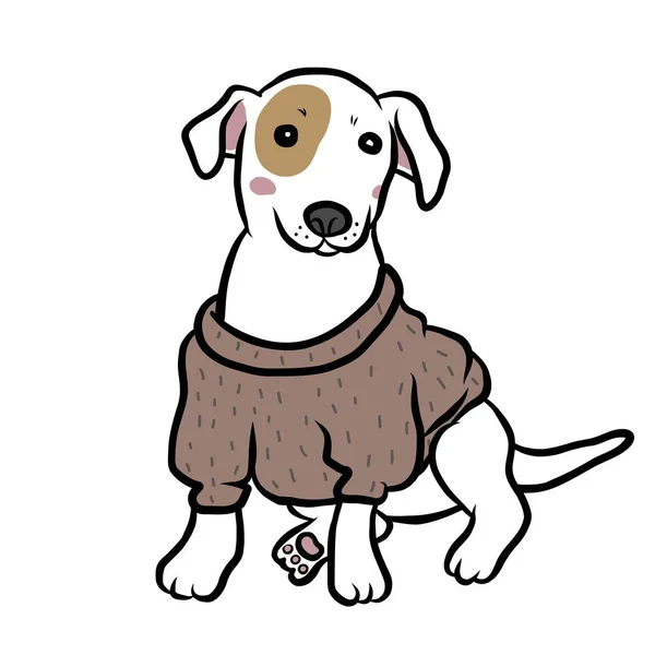 Jack Russell Cachorro Cachorro Usar Camisola Desenho Animado Vetor Ilustração — Vetor de Stock