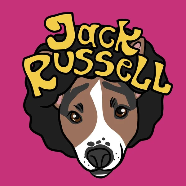 杰克罗素Terrier狗有非洲发式卡通矢量插图 — 图库矢量图片