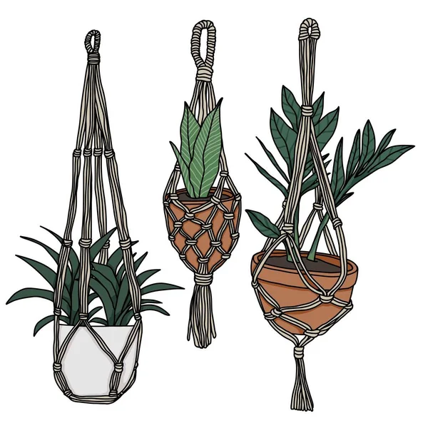 Hanging Plants Line Art Drawing Vector Illustration — Stock Vector